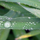 Image for article titled A waterpocalypse in Earth's southern hemisphere?
